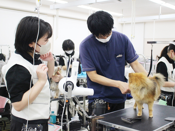 夜間部１年生のトリミング実習！